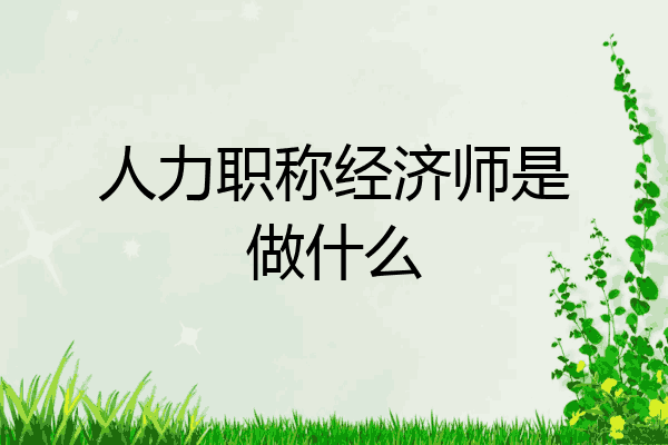 人力职称经济师是做什么