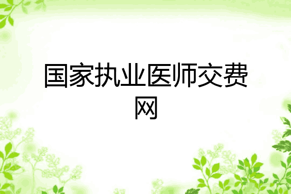 国家执业医师交费网