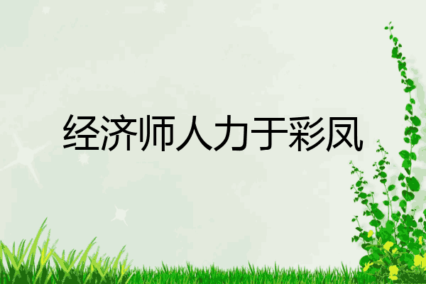 经济师人力于彩凤