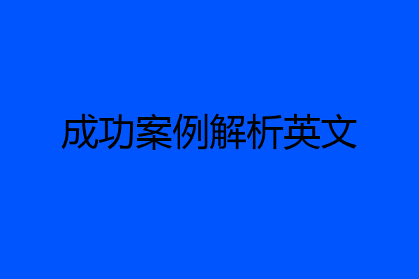 成功案例解析英文