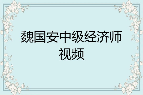 魏国安中级经济师视频