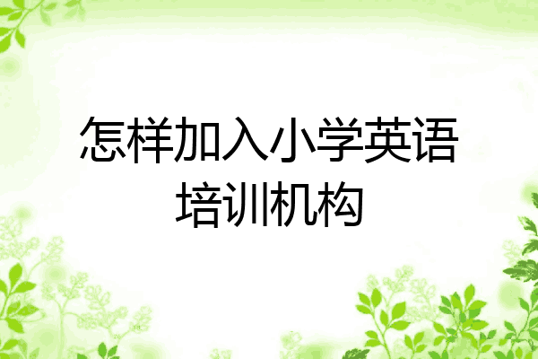 怎样加入小学英语培训机构
