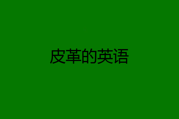 皮革的英语