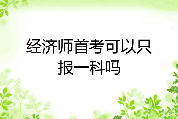 经济师首考可以只报一科吗
