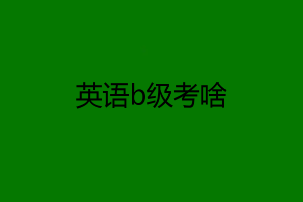 英语b级考啥