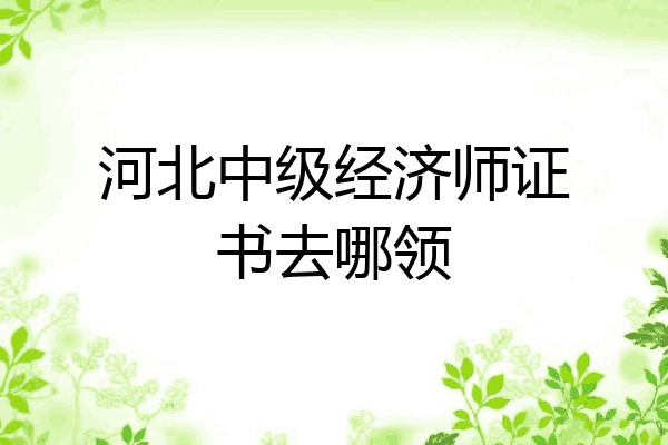 河北中级经济师证书去哪领