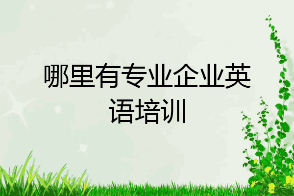 哪里有专业企业英语培训