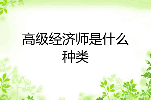 高级经济师是什么种类