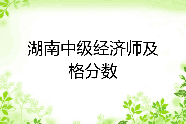 湖南中级经济师及格分数