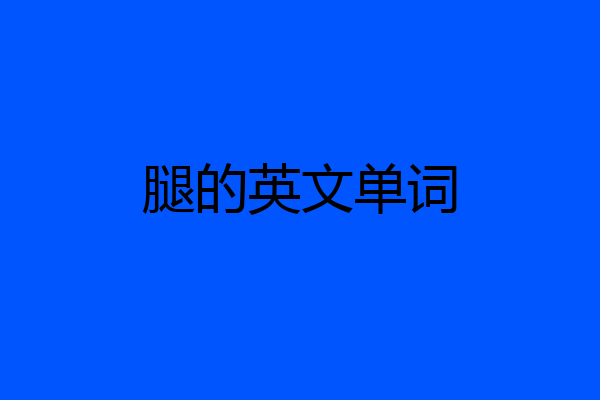 腿的英文单词