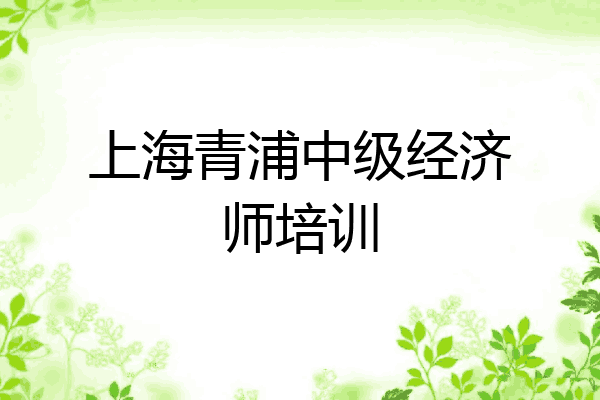 上海青浦中级经济师培训