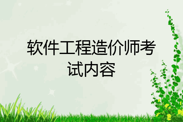 软件工程造价师考试内容