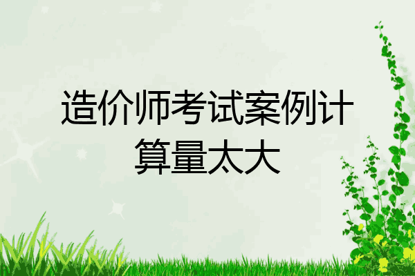 造价师考试案例计算量太大
