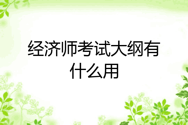 经济师考试大纲有什么用