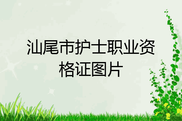 汕尾市护士职业资格证图片