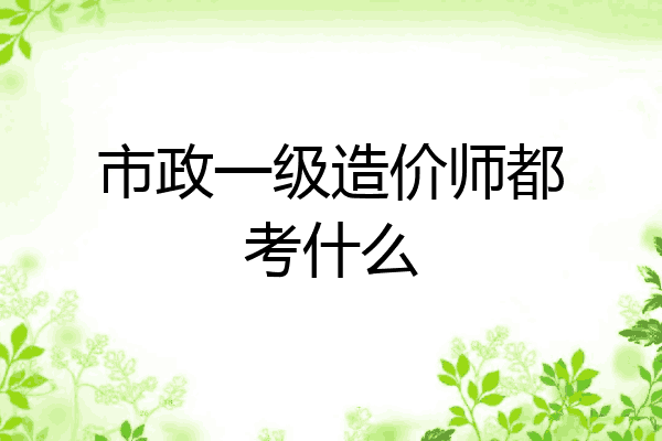 市政一级造价师都考什么