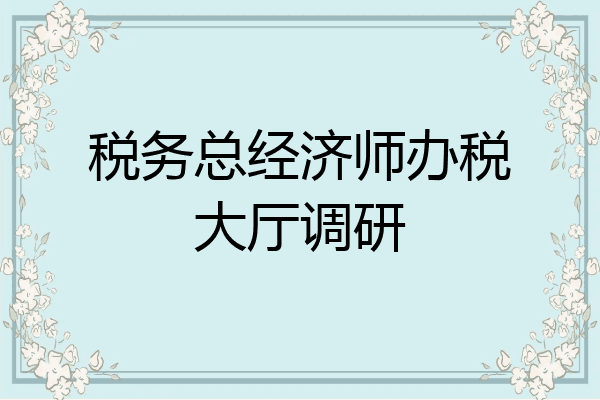 税务总经济师办税大厅调研