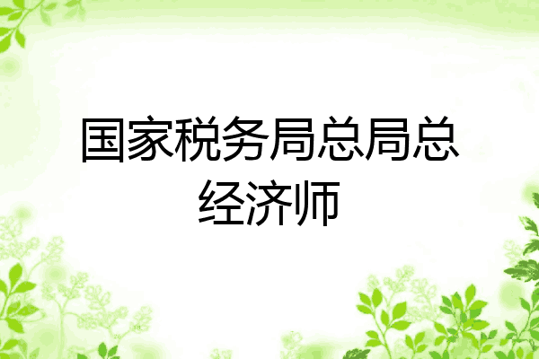 国家税务局总局总经济师