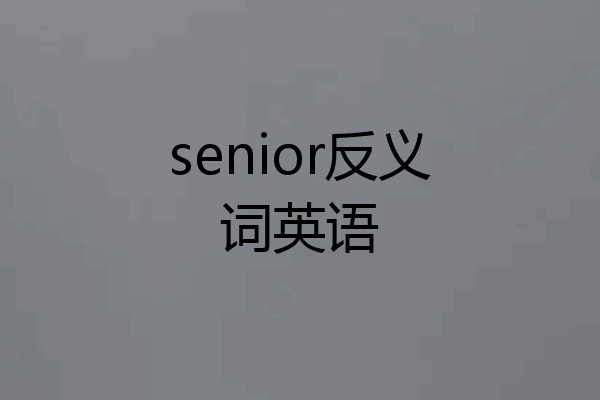 senior反义词英语