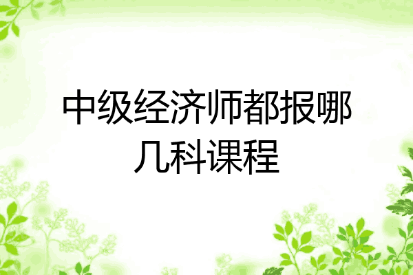 中级经济师都报哪几科课程