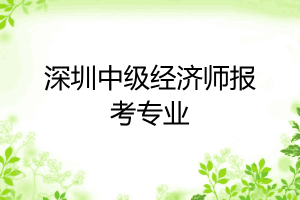 深圳中级经济师报考专业