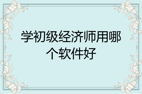 学初级经济师用哪个软件好