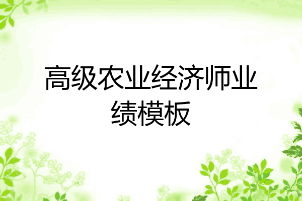 高级农业经济师业绩模板