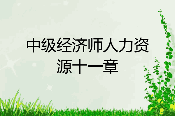 中级经济师人力资源十一章