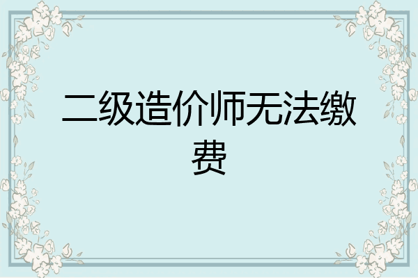 二级造价师无法缴费