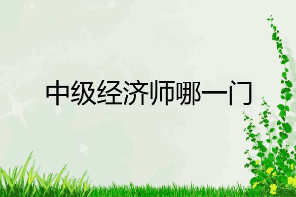 中级经济师哪一门