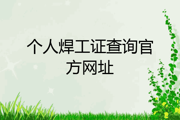 个人焊工证查询官方网址