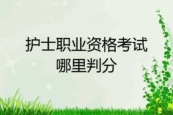 护士职业资格考试哪里判分