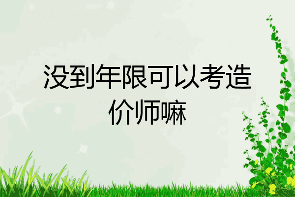 没到年限可以考造价师嘛