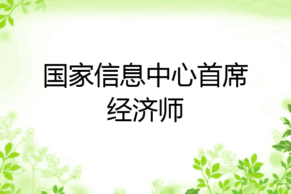 国家信息中心首席经济师