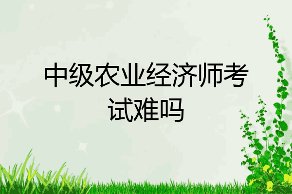 中级农业经济师考试难吗