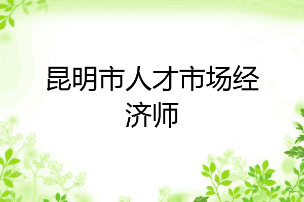 昆明市人才市场经济师