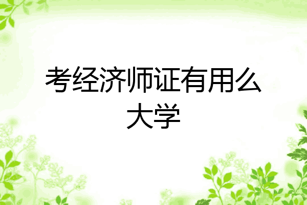 考经济师证有用么大学