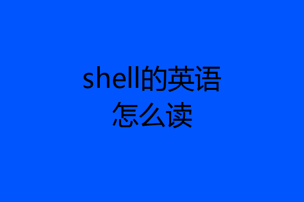 shell的英语怎么读