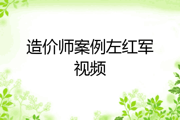 造价师案例左红军视频