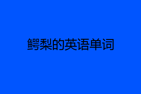 鳄梨的英语单词