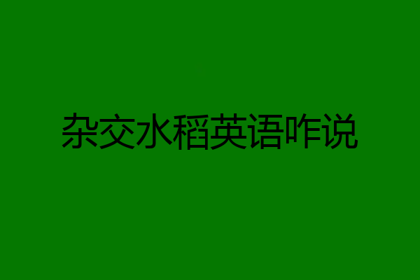 杂交水稻英语咋说