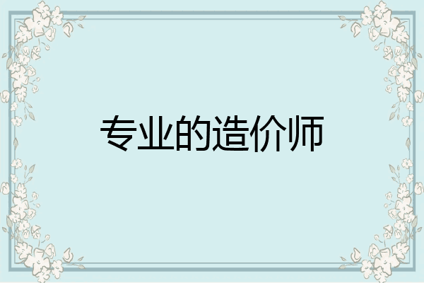专业的造价师