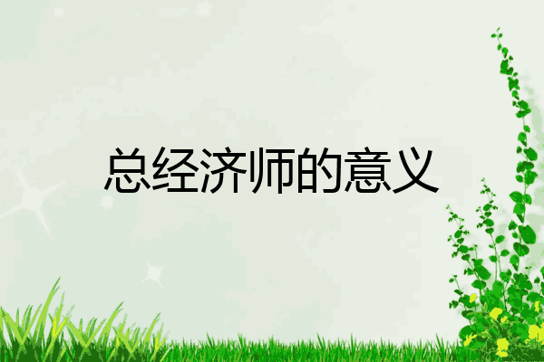 总经济师的意义