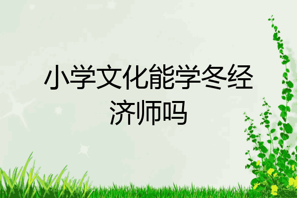 小学文化能学冬经济师吗