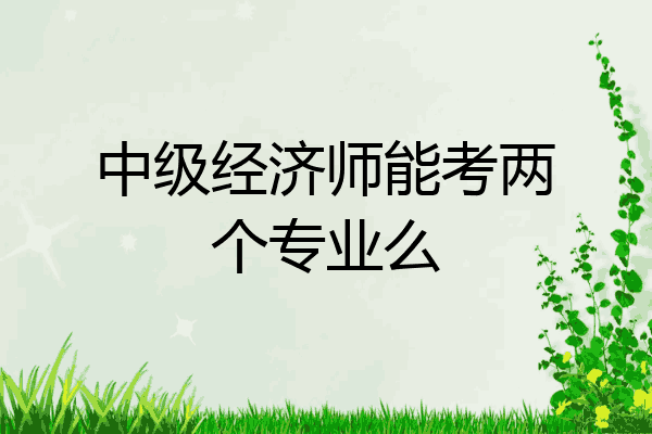 中级经济师能考两个专业么