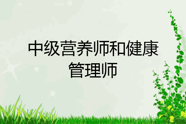 中级营养师和健康管理师