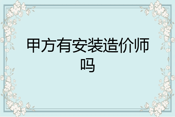 甲方有安装造价师吗