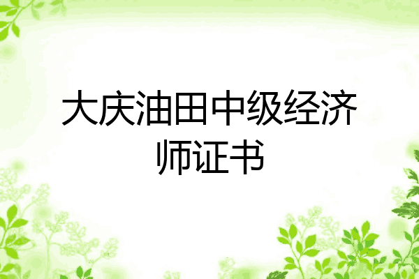 大庆油田中级经济师证书