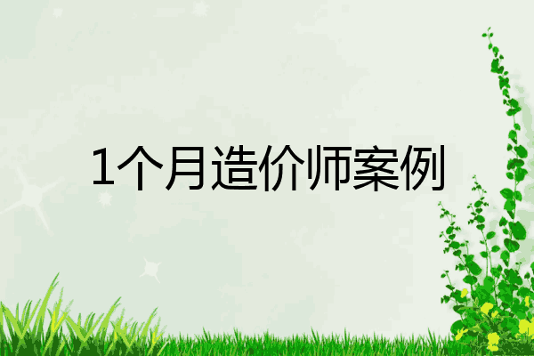 1个月造价师案例