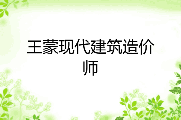 王蒙现代建筑造价师